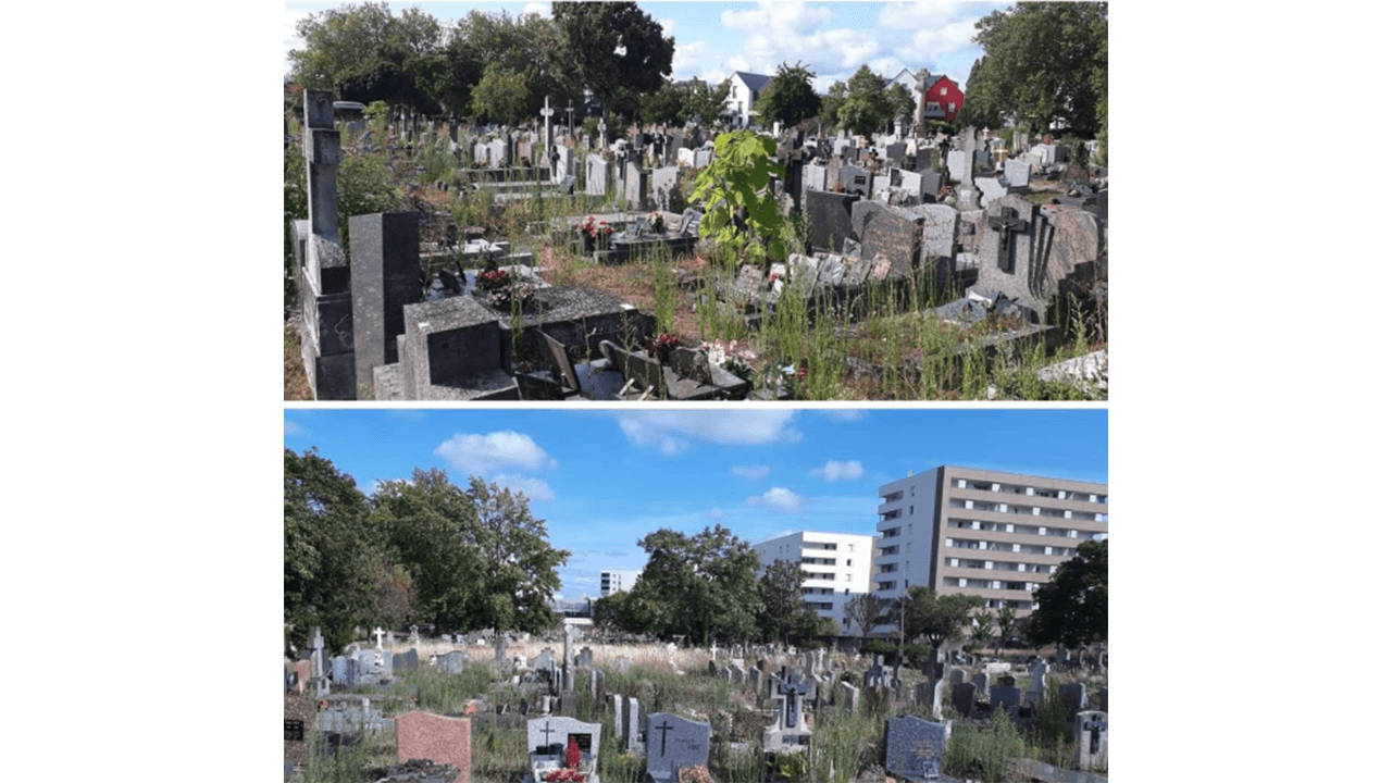 cimetiere-nantes-1.png