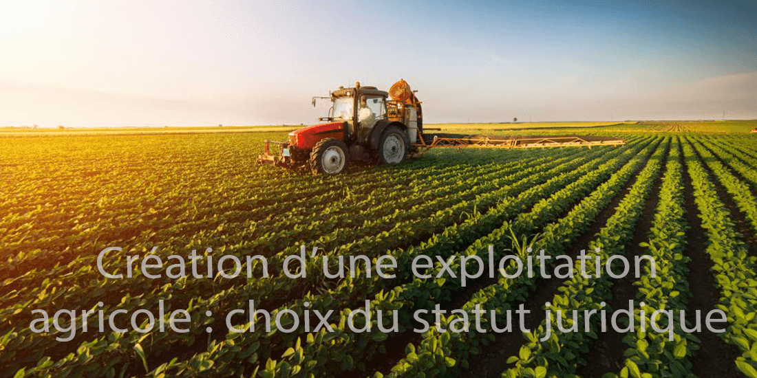 Actualité